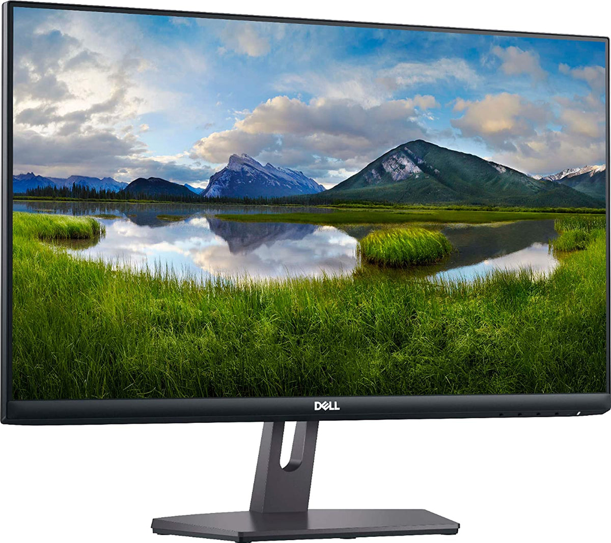 Dell 24 Inch LED Monitor